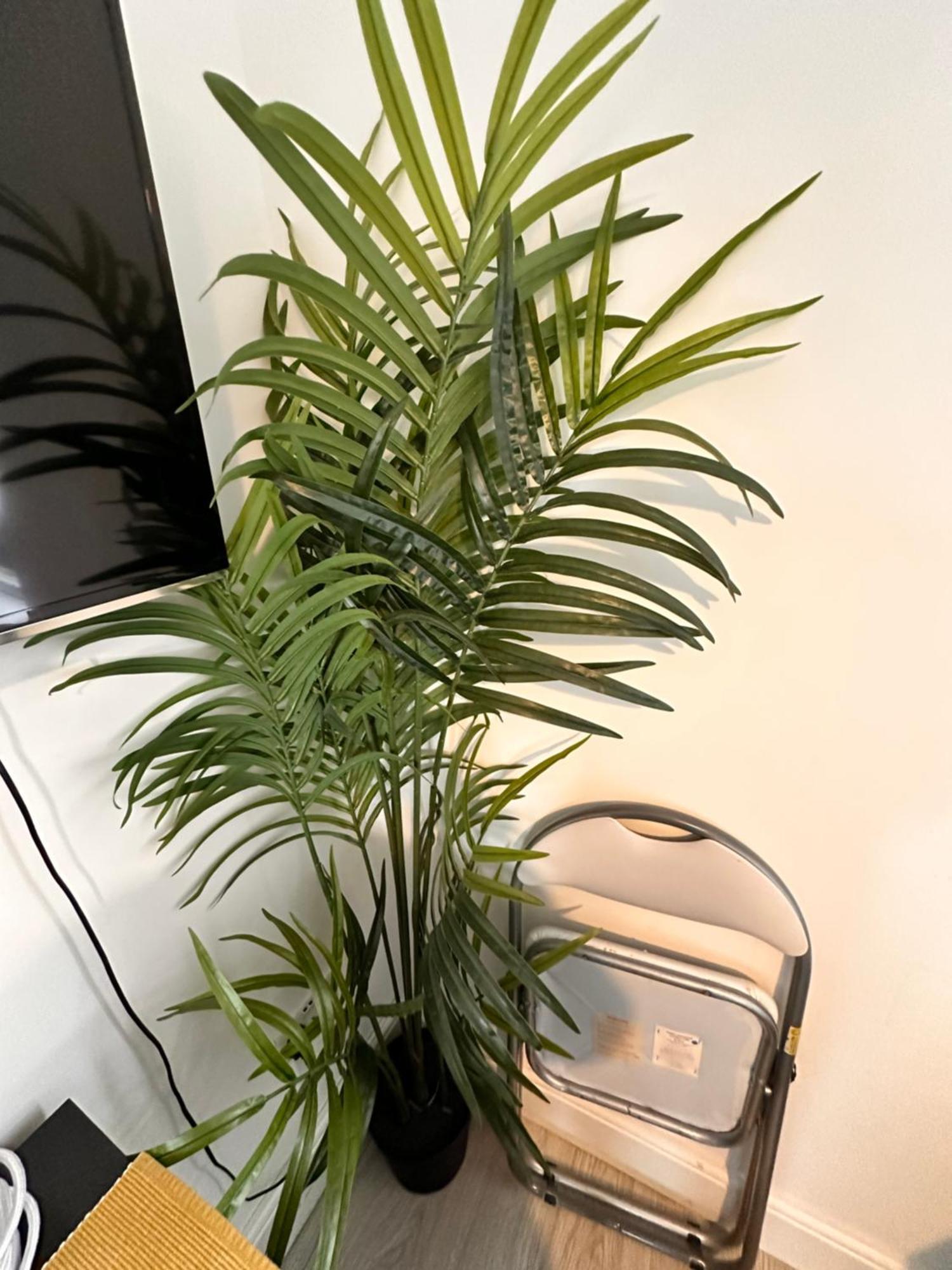 Lovely Self Contained Studio Now Available 伦敦 外观 照片